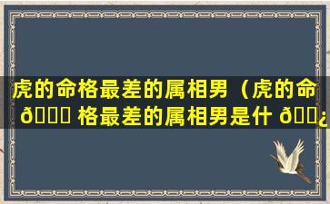 虎的命格最差的属相男（虎的命 🐛 格最差的属相男是什 🌿 么）